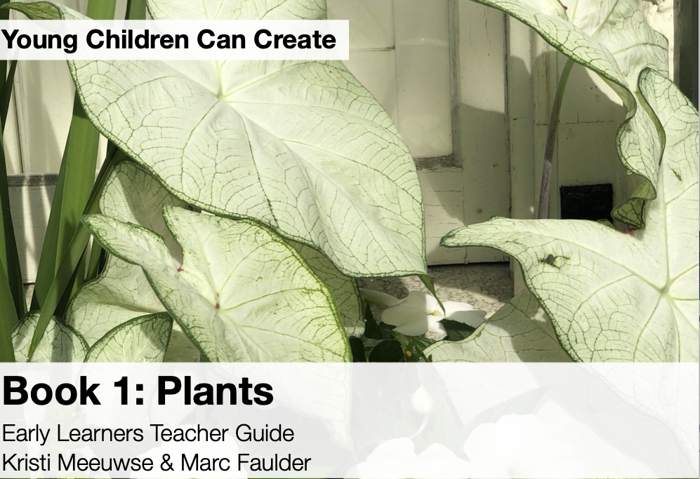 Screen Shot 2020-01-13 at 11.31.42 AM