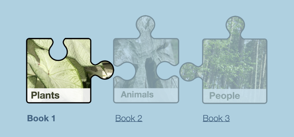 Screen Shot 2020-01-13 at 11.32.05 AM