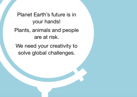 Screen Shot 2020-01-13 at 12.06.50 PM